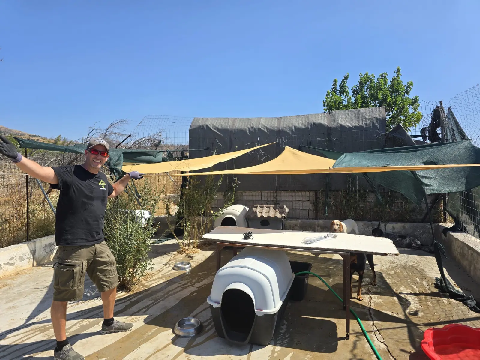 Battleground Tierhilfe unterstützt Tierheim auf Rhodos mit Shelter-Bau und Futter