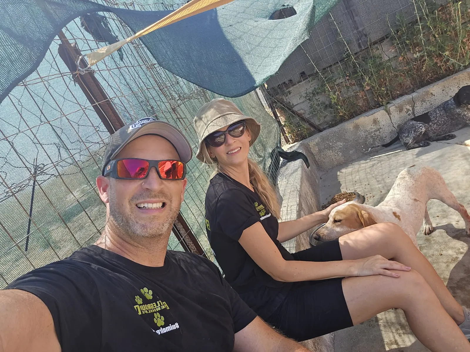 Team vor Ort bei den Hunden